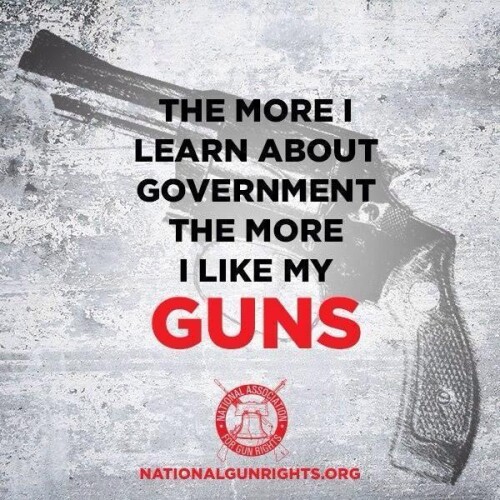 the-more-i-learn-about-government-the-more-i-like-my-guns28285c203edd1529.jpeg