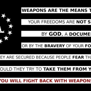 weapons-are-the-means-to-liberty-750x4296dc2bac8342b24e8