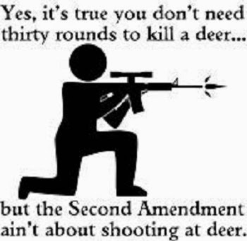 yes-its-true-you-dont-need-thirty-rounds-to-kill-a-deer8c6eb4f0af8fe11e.jpeg