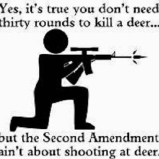 yes-its-true-you-dont-need-thirty-rounds-to-kill-a-deer8c6eb4f0af8fe11e