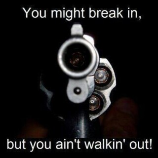 you-might-break-in-but-you-aint-walkin-out56e265264242d03b