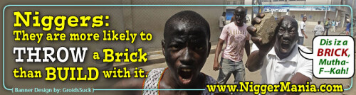 JPEG_NM-Banner_313_Nigs-will-Throw-a-Brick-than-Build-with-it_jpgecb11a1aed6c1f3c.jpeg