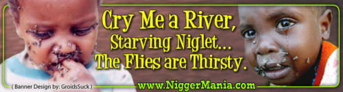 JPEG_NM-Banner_323_Cry-Me-a-River-Niglet_Your-Flies-are-Thirsty_jpga1b30d9d92c8ccb1.jpeg