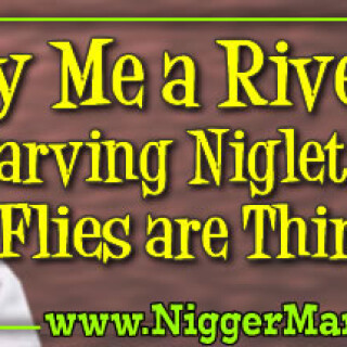 JPEG_NM-Banner_323_Cry-Me-a-River-Niglet_Your-Flies-are-Thirsty_jpga1b30d9d92c8ccb1