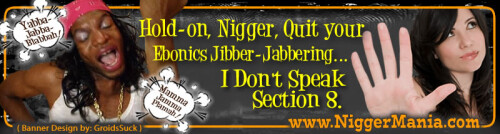 JPEG_NM-Banner_331_Sorry-Nig_I-Dont-Speak-Section-8_jpg76bd16953ea9cd5c.jpeg