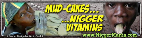 JPEG_NM-Banner_336_Mud-Cakes-are-Nig-Vitamins_jpgde6e573780eb25ee.jpeg