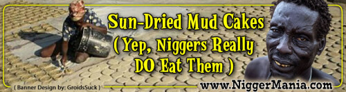 JPEG_NM-Banner_338_Sun-Dried-Mud-Cakes---Nigs-DO-Eat-Them_jpgda85b8498eb317ca.jpeg