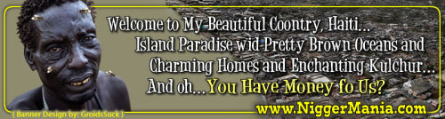 JPEG_NM-Banner_348_Welcome-to-HAITI-My-Coontry_jpgfdd901258faf37a5.jpeg