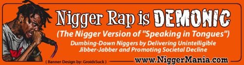 JPEG_NM-Banner_356_Nig-Rap-is-Demonic_jpge227ea560ccf2a6c.jpeg