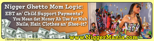 JPEG_NM-Banner_359_Nig-Ghetto-Mom-Logic---Using-Child-Support-Money-for-Herself_jpge6abff5589b3b174.jpeg