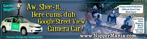 JPEG_NM-Banner_362_Google-Street-View-Camera-Car---Makes-Nigs-Hide-their-Faces_jpg0658ce4d3a6faf7e.jpeg