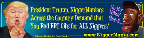 JPEG_NM-Banner_364_Pres-Trump---End-All-EBT-Gibs-for-Nigs_jpg28ae169f5978c512.jpeg