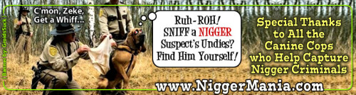 JPEG_NM-Regular-Banner_400_Thanks-to-Canine-Cops-for-Catching-Nigs_jpgc5ea06e0d9062469.jpeg