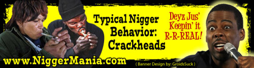 JPEG_NM-Regular-Banner_405_Keep-it-Real_Crackheads_jpgae7bccc120526deb.jpeg