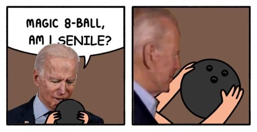 Joe-Biden-Magic-8-Ball09b52a078db22150.jpeg