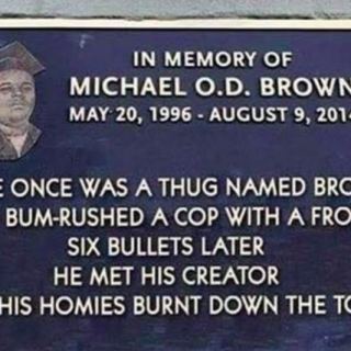 MICHAELBROWN938833a373b251ee