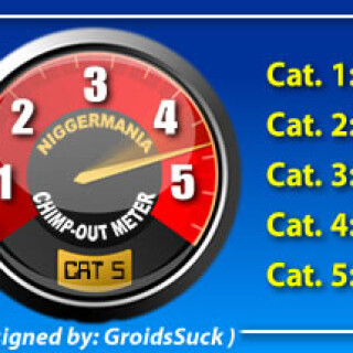 NM-Banner_005_The-ChimpOut-Meter_jpgd8ac4c9794a62dcc