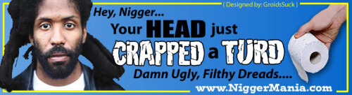 NM-Banner_006_-Nig-Your-Head-Crapped-a-TURD_jpg3d2cd0088c7174a7.jpeg