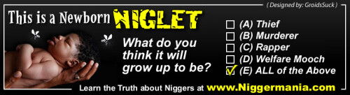 NM-Banner_008_This-is-a-NIGLET_jpgf9a21792f3d1db63.jpeg