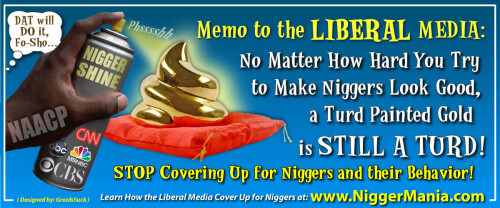 NM-Banner_011_Lib-Media-Stop-Covering-Up-for-Nigs_jpgf43a5275ea762612.jpeg