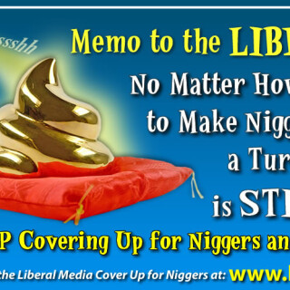 NM-Banner_011_Lib-Media-Stop-Covering-Up-for-Nigs_jpgf43a5275ea762612