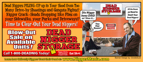 NM-Banner_015_Dead-Nig-Storage-Ad-2_jpgdcc5d31489c82cd2.jpeg