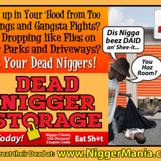 NM-Banner_015_Dead-Nig-Storage-Ad-2_jpgdcc5d31489c82cd2