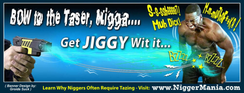 NM-Banner_020_Bow-to-the-TASER-Nig_jpge2fa495a81681f8b.jpeg