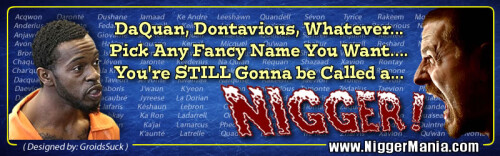 NM-Banner_023_Nig-Names_jpg857f800a77e74c7c.jpeg