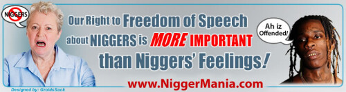 NM-Banner_038_Free-Speech-Rights-are-More-Important_jpg84938faefee3f9a6.jpeg