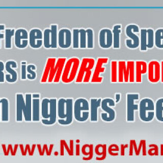 NM-Banner_038_Free-Speech-Rights-are-More-Important_jpg84938faefee3f9a6