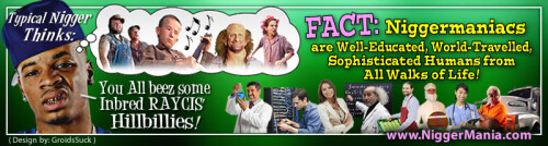NM-Banner_040_Inbred-Hillbillies-Stereotype_jpg85f777c502f503cb.jpeg
