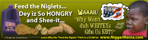 NM-Banner_068_Feed-the-Hongry-Niglets_jpg6341308c36a81818.jpeg