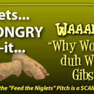 NM-Banner_068_Feed-the-Hongry-Niglets_jpg6341308c36a81818