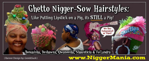 NM-Banner_078_Ghetto-Hairstyles_Lipstick-on-a-Pig_jpg85e4496c7244dd04.jpeg