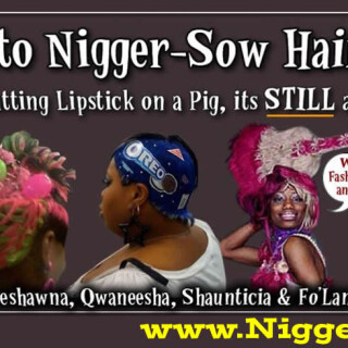 NM-Banner_078_Ghetto-Hairstyles_Lipstick-on-a-Pig_jpg85e4496c7244dd04