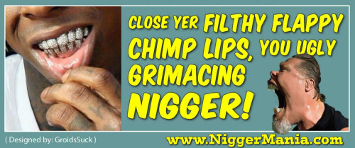 NM-Banner_081_Close-your-CHIMP-LIPS-Nig_jpgd230c54edfba221e.jpeg