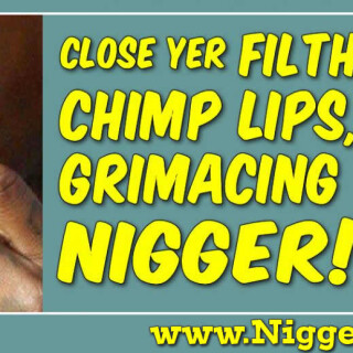 NM-Banner_081_Close-your-CHIMP-LIPS-Nig_jpgd230c54edfba221e