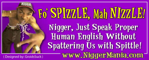 NM-Banner_083_Fo-Spizzle-Mah-Nizzle_jpg88147d5a3218a5b8.jpeg