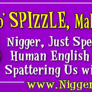 NM-Banner_083_Fo-Spizzle-Mah-Nizzle_jpg88147d5a3218a5b8