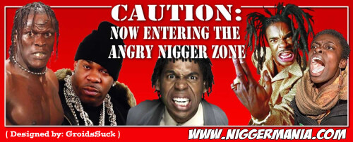 NM-Banner_086_Caution-Now-Entering-Angry-Nig-Zone_jpgc1da0f9188ebf178.jpeg