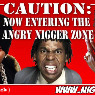 NM-Banner_086_Caution-Now-Entering-Angry-Nig-Zone_jpgc1da0f9188ebf178