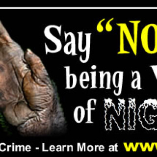 NM-Banner_101_Say-NO-to-Being-a-Victim-of-Nig-Crime_jpg629e258e6cb3480e