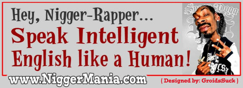 NM-Banner_115_Hey-Nig-Rapper_Speak-English_jpg77b191a6022a054a.jpeg