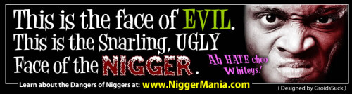 NM-Banner_123_The-Face-of-Nig-Evil_jpga1a788da2d957da7.jpeg