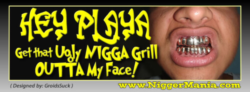 NM-Banner_124_Hey-Playa-Get-Yer-Grill-Outta-My-Face_jpg92628459af419659.jpeg