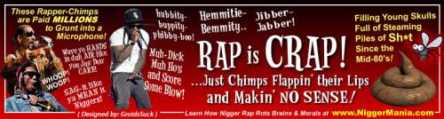 NM-Banner_145_RAP-is-CRAP_jpgd5c7329678fd0d2f.jpeg