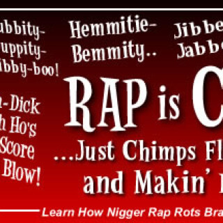 NM-Banner_145_RAP-is-CRAP_jpgd5c7329678fd0d2f