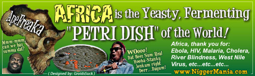 NM-Banner_149_The-Petri-Dish-of-Africa-2_jpg16902d624dbff484.jpeg