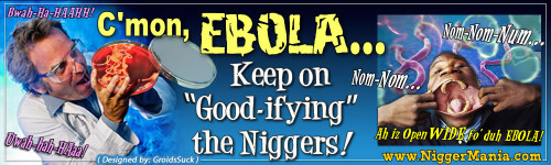 NM-Banner_152_Cmon-Ebola-Kill-More-Nigs_jpg0419211bfbda5df6.jpeg